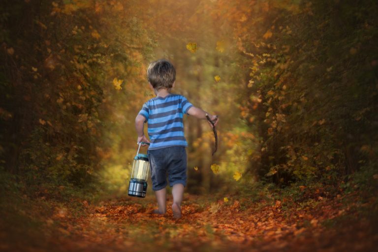 fine art portrait of a toddler boy walking in an autumn forest holding a lantern by katja photography